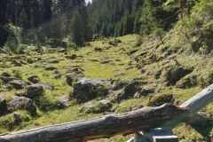 20190910_121326-min