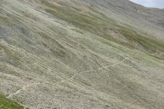 IMG-20190829-WA0023-min